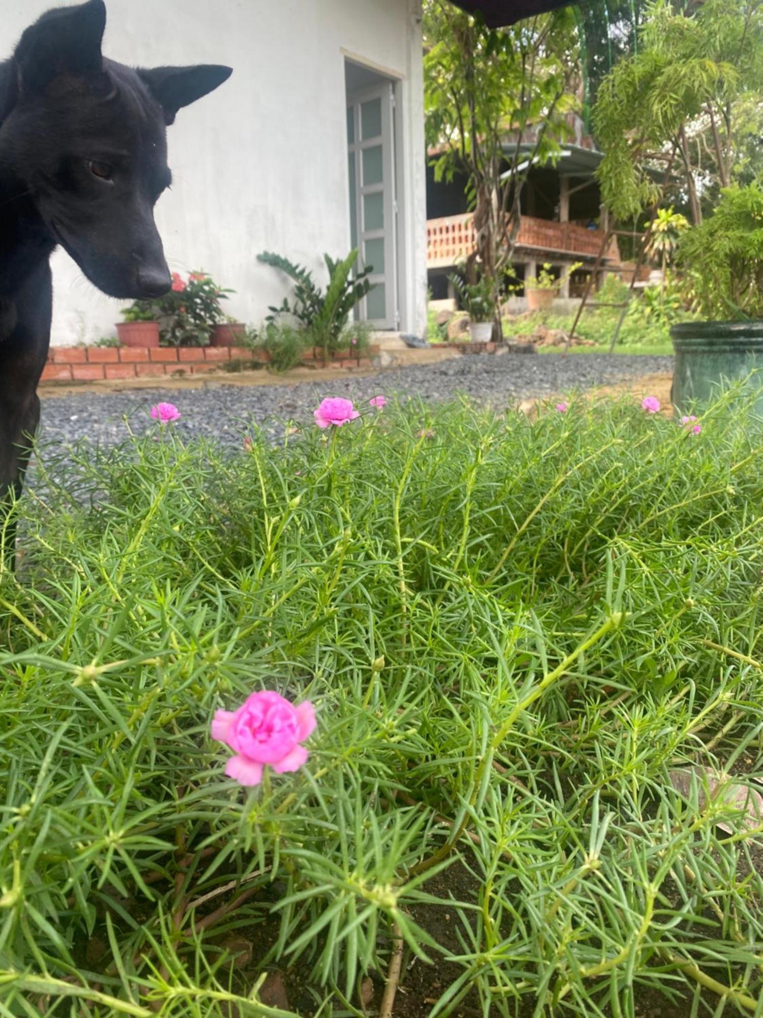 Homestay Tay Xa Trang Bom Экстерьер фото