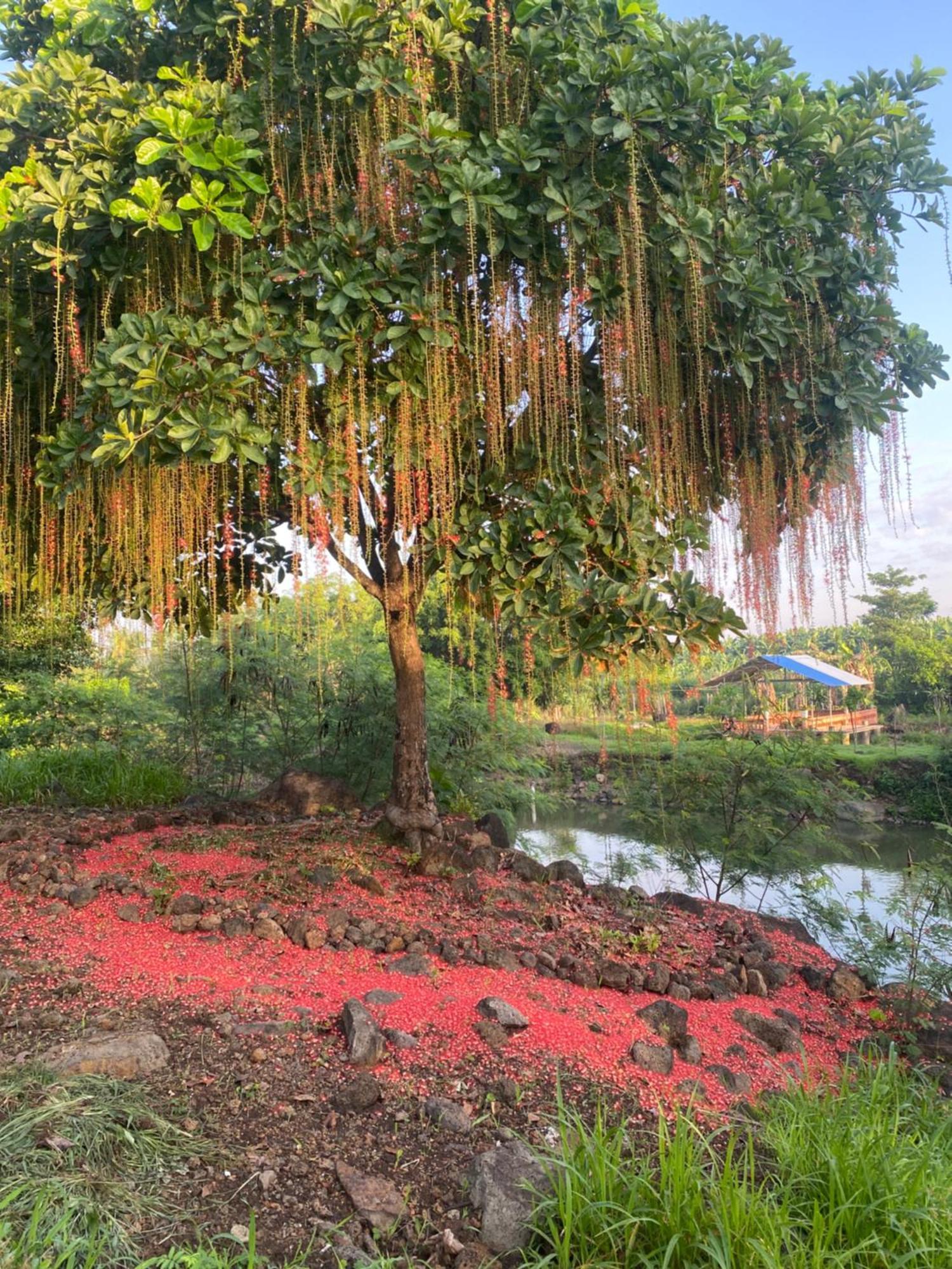 Homestay Tay Xa Trang Bom Экстерьер фото