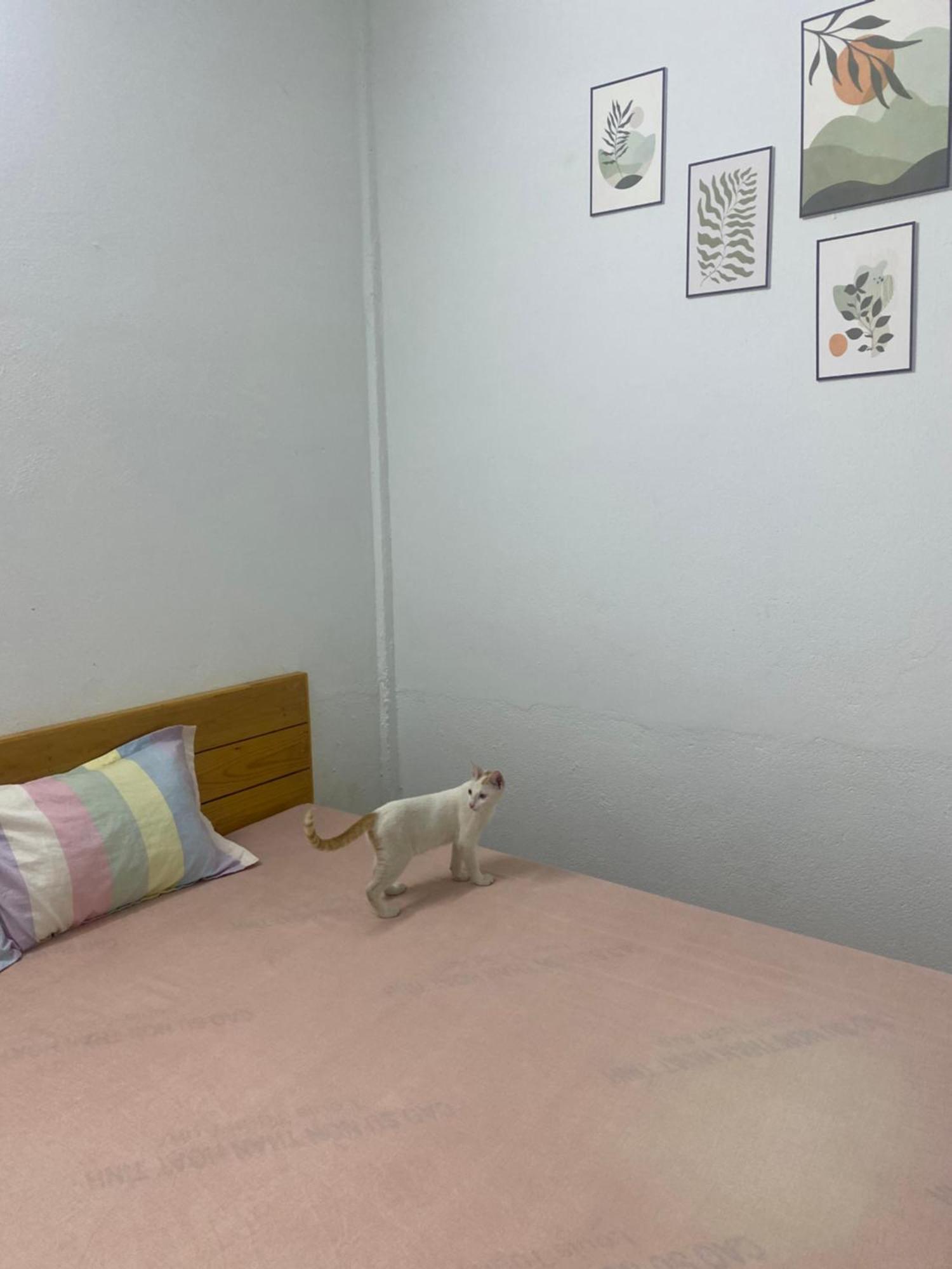 Homestay Tay Xa Trang Bom Экстерьер фото