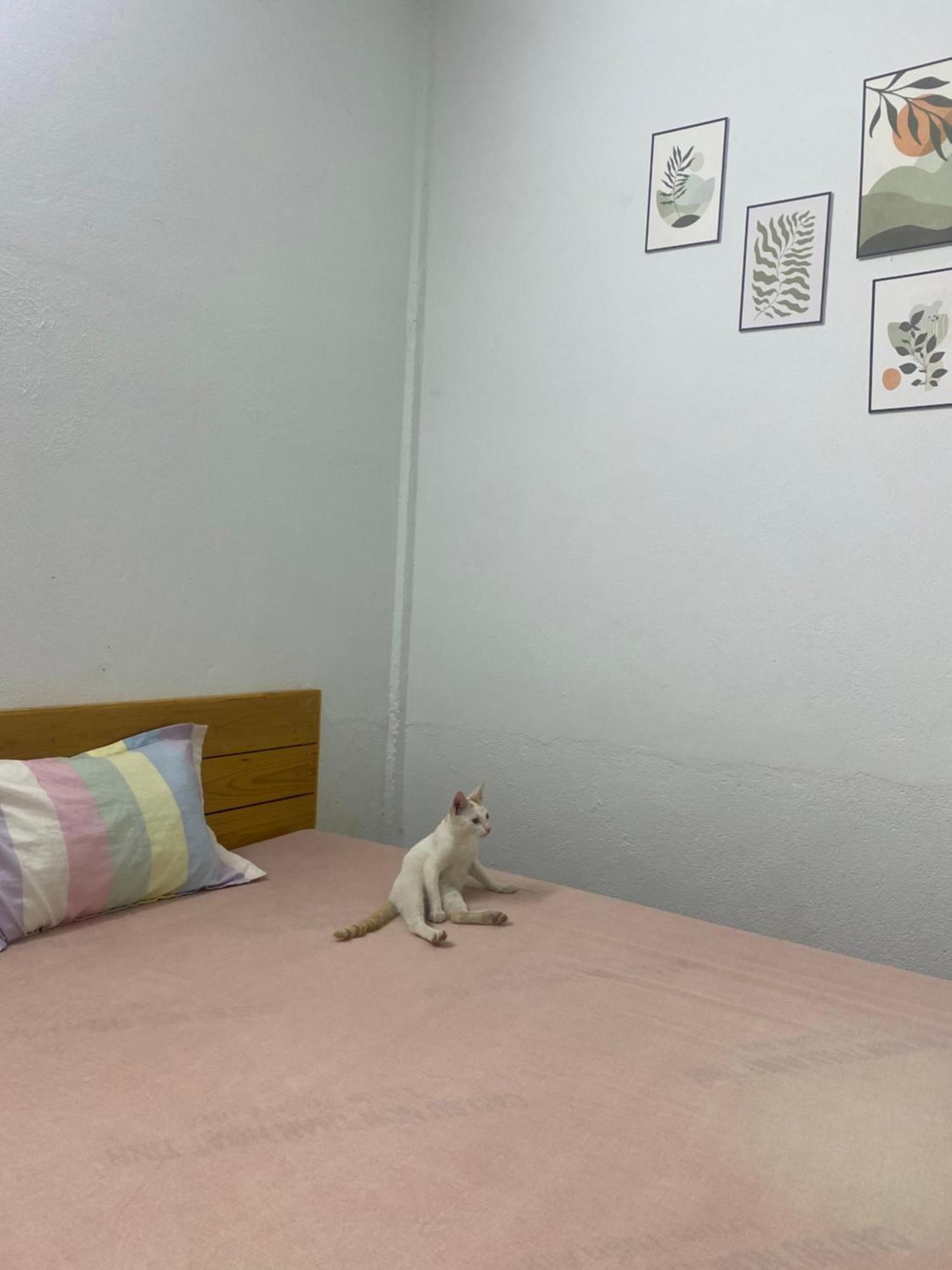 Homestay Tay Xa Trang Bom Экстерьер фото